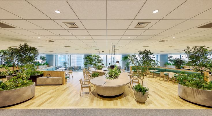 Bảng giá cho thuê cây cảnh văn phòng TpHCM cập nhật mới nhất