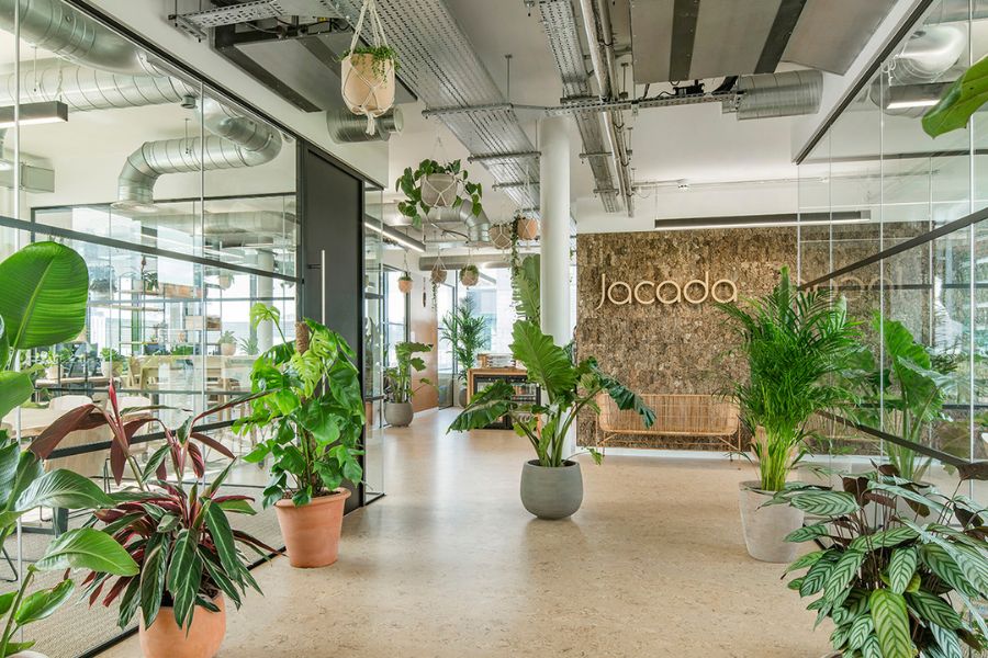 Bảng giá cho thuê cây cảnh văn phòng TpHCM cập nhật mới nhất