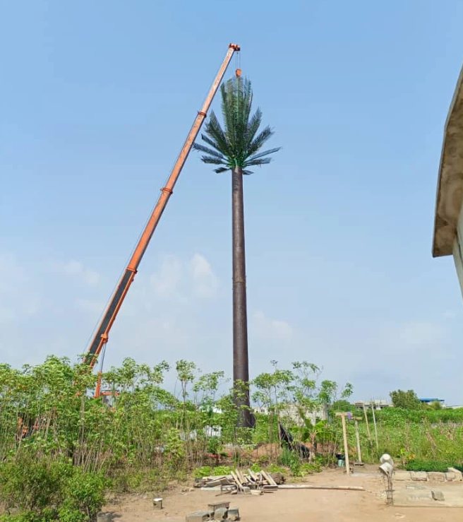 bứng cây tại Quận 4 TPHCM