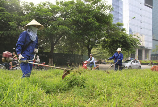  Cắt Cỏ KCN Bàu Bàng