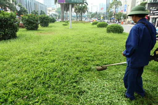 Cắt cỏ tại KCN Đất Cuốc