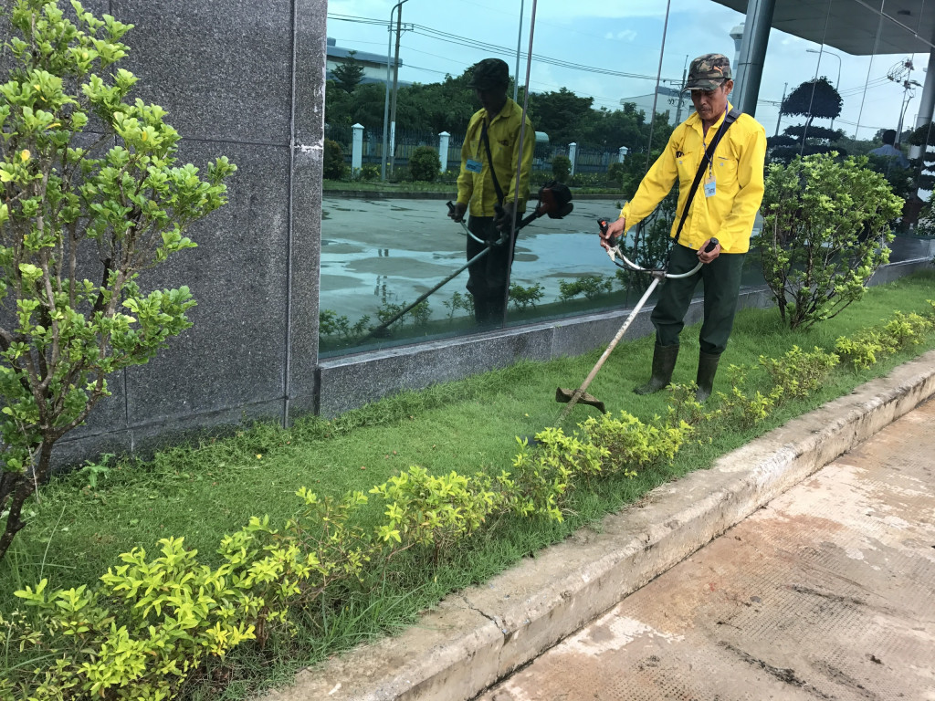 Cắt cỏ Quận 11 TpHCM uy tín