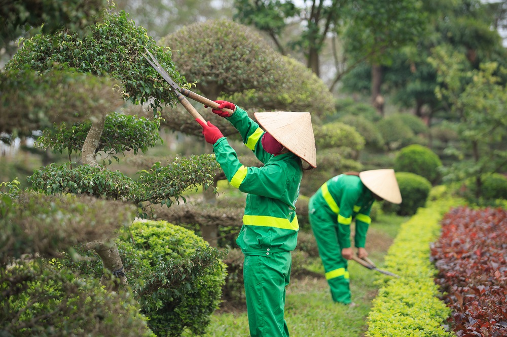 Quy trình dịch vụ chăm sóc cảnh quan quận Bình Thạnh TP.HCM ở Vinaxanh