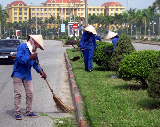 Các dịch vụ chăm sóc cây xanh ở Củ Chi TPHCM mà VinaXanh cung cấp?