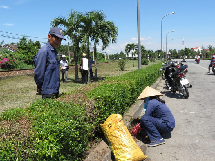 Lợi ích khi sử dụng dịch vụ chăm sóc cây xanh uy tín tại Hóc Môn TPHCM