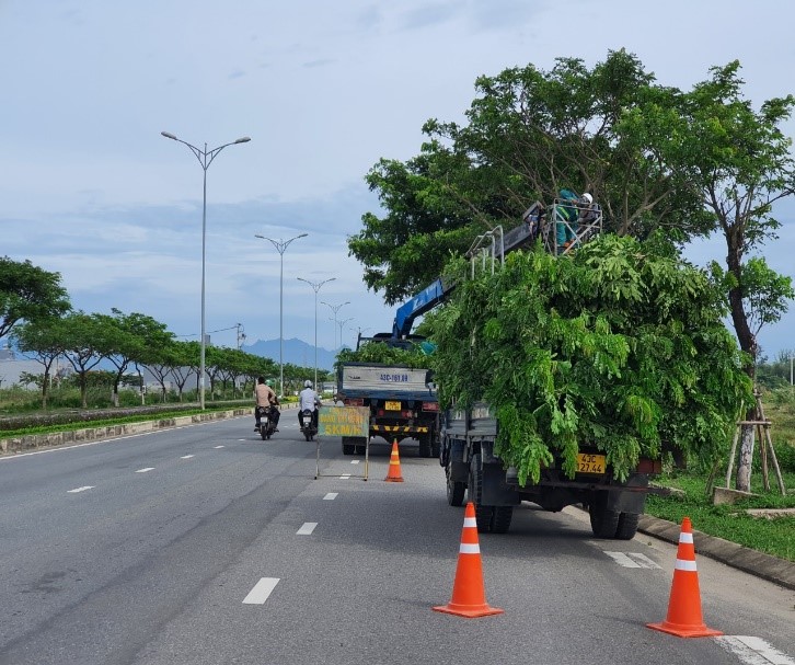 Dịch vụ chăm sóc cây xanh khu công nghiệp Rạch Bắp của VinaXanh