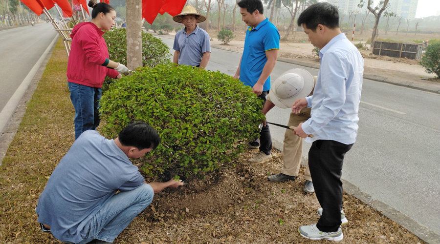 Vì sao Vinaxanh được lựa chọn là đơn vị chăm sóc cây xanh ở KCN Thới Hòa?