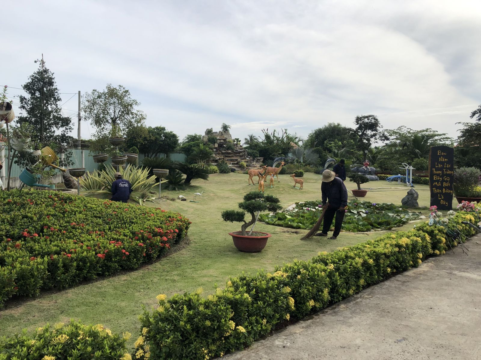 Dịch vụ chăm sóc cây xanh ở Hóc Môn TPHCM uy tín