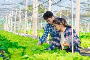 đất trồng và cách cải tạo đất để cây phát triển