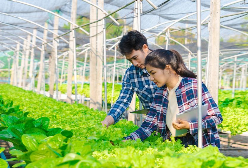 đất trồng và cách cải tạo đất để cây phát triển