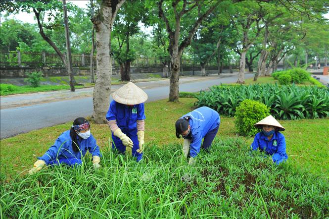 Tiến hành triển khai dịch vụ chăm sóc cảnh quan tại Bình Thạnh TP.HCM