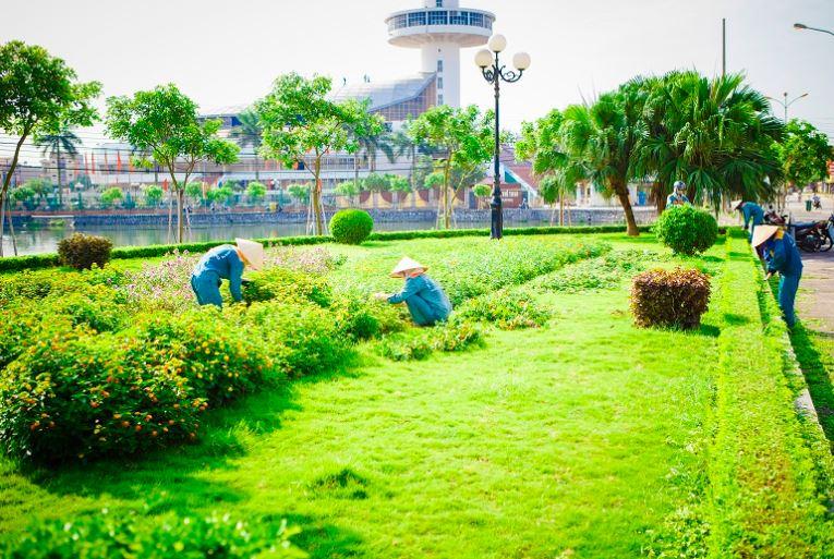 Dịch vụ chăm sóc cây xanh Long An