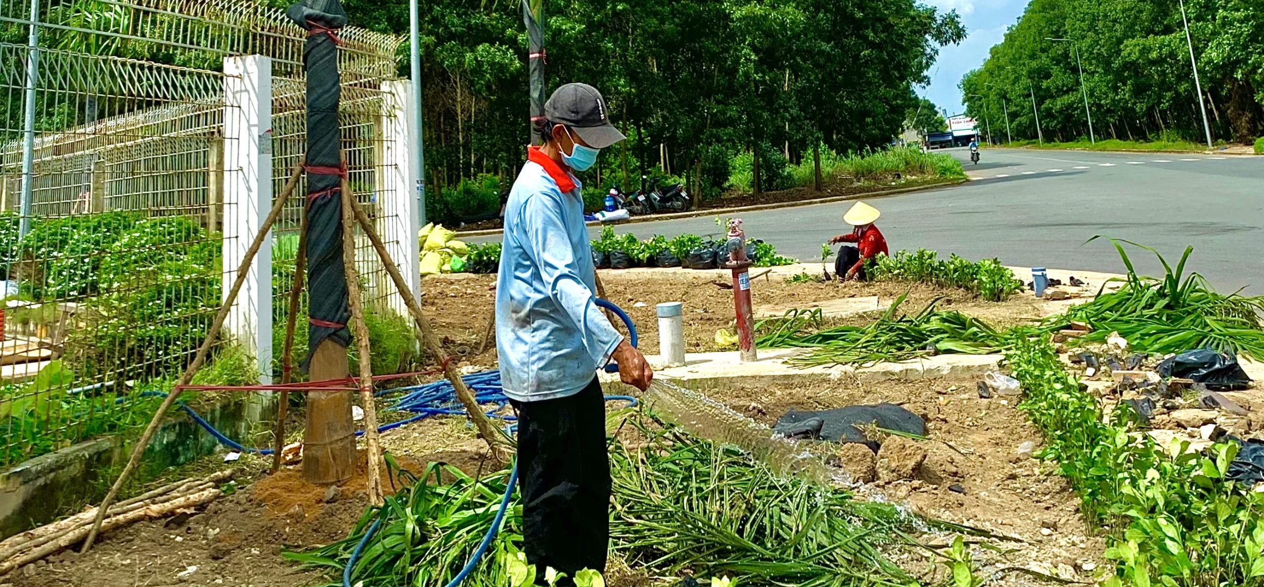 Dịch vụ dọn vườn tại Gò Gấp, TPHCM của Vinaxanh