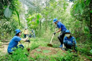 Dịch Vụ Trồng Cây Xanh Tại Long An