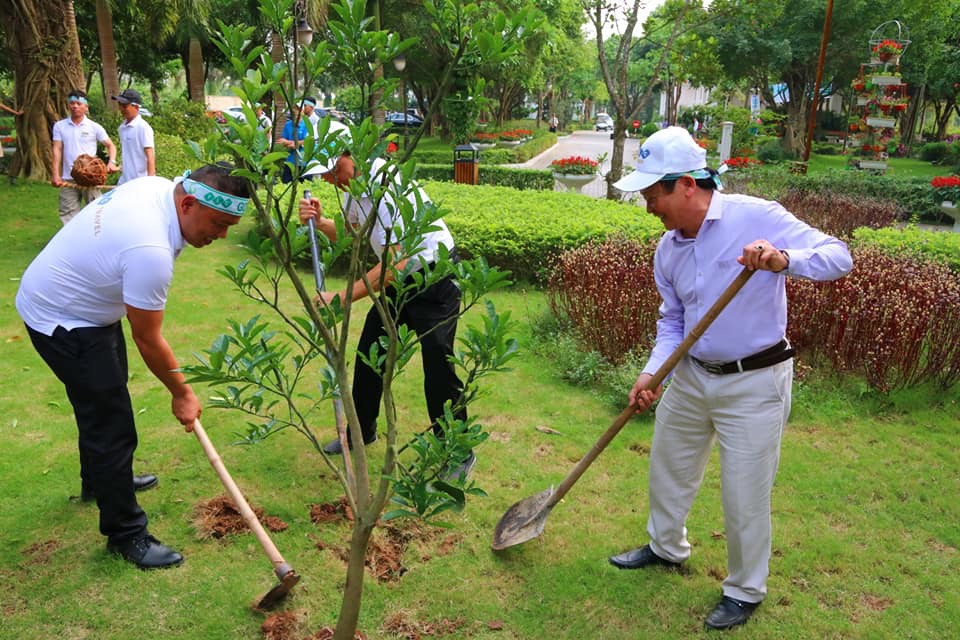 Dịch Vụ Trồng Cây Xanh Tại Long An