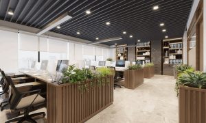 Hướng dẫn chăm sóc cây
