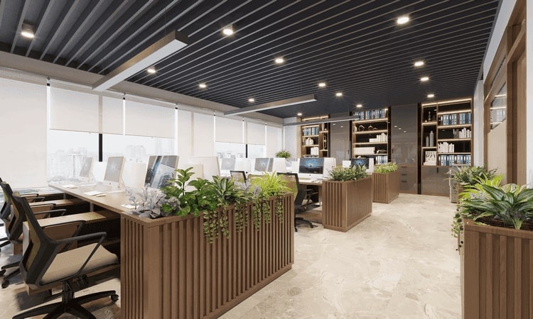 Hướng dẫn chăm sóc cây