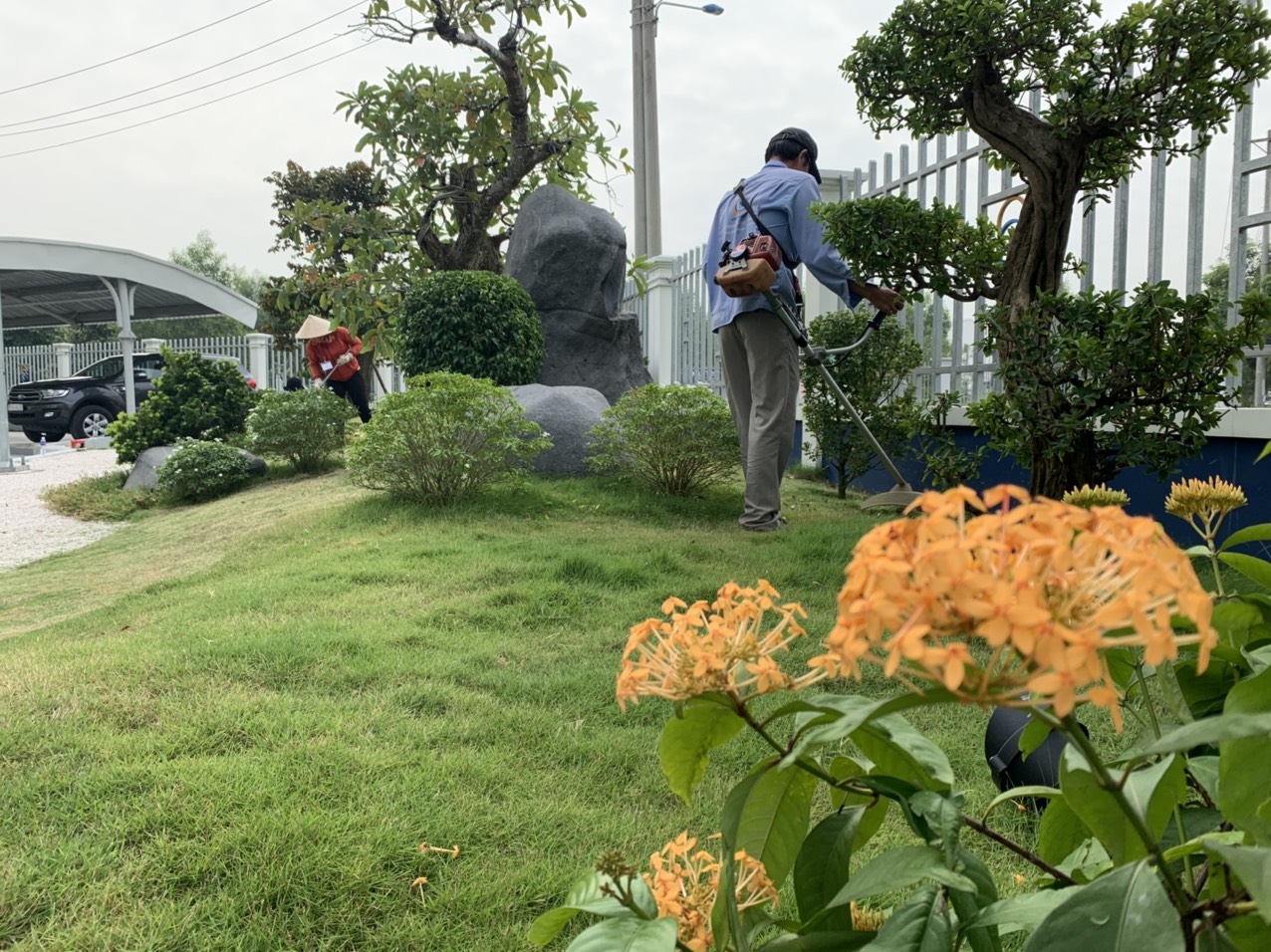 Dịch vụ chăm sóc cảnh quan giá rẻ ở Hồ Chí Minh