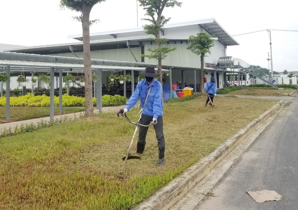 Dịch vụ cắt cỏ khuȏn viên tại Hồ Chί Minh - Vinaxanh