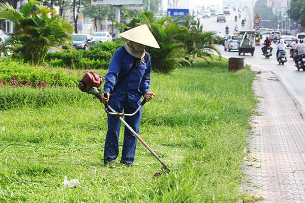 Phát hoang cỏ tại Hồ Chí Minh giá rẻ nhất