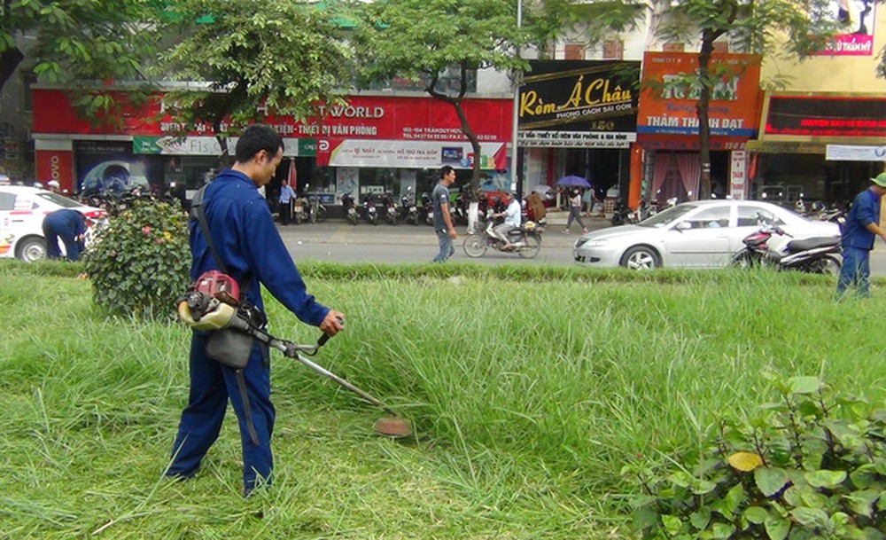 THUÊ PHÁT HOANG CỎ DẠI GIÁ RẺ Ở LONG AN