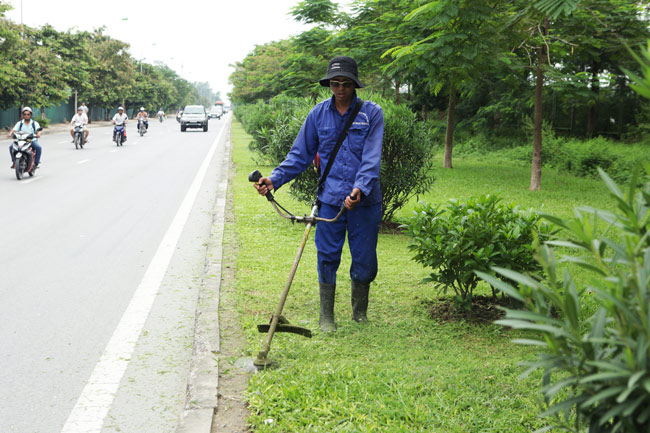 Những lợi ích khi sử dụng dịch vụ cắt cỏ tại Quận 10 của chúng tôi