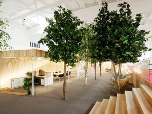 lỗi phổ biến khi chọn cây