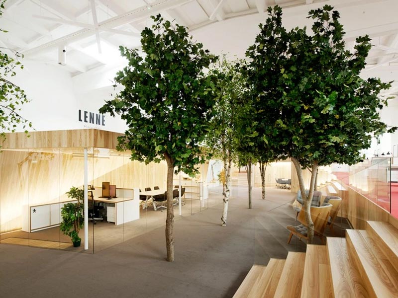 lỗi phổ biến khi chọn cây