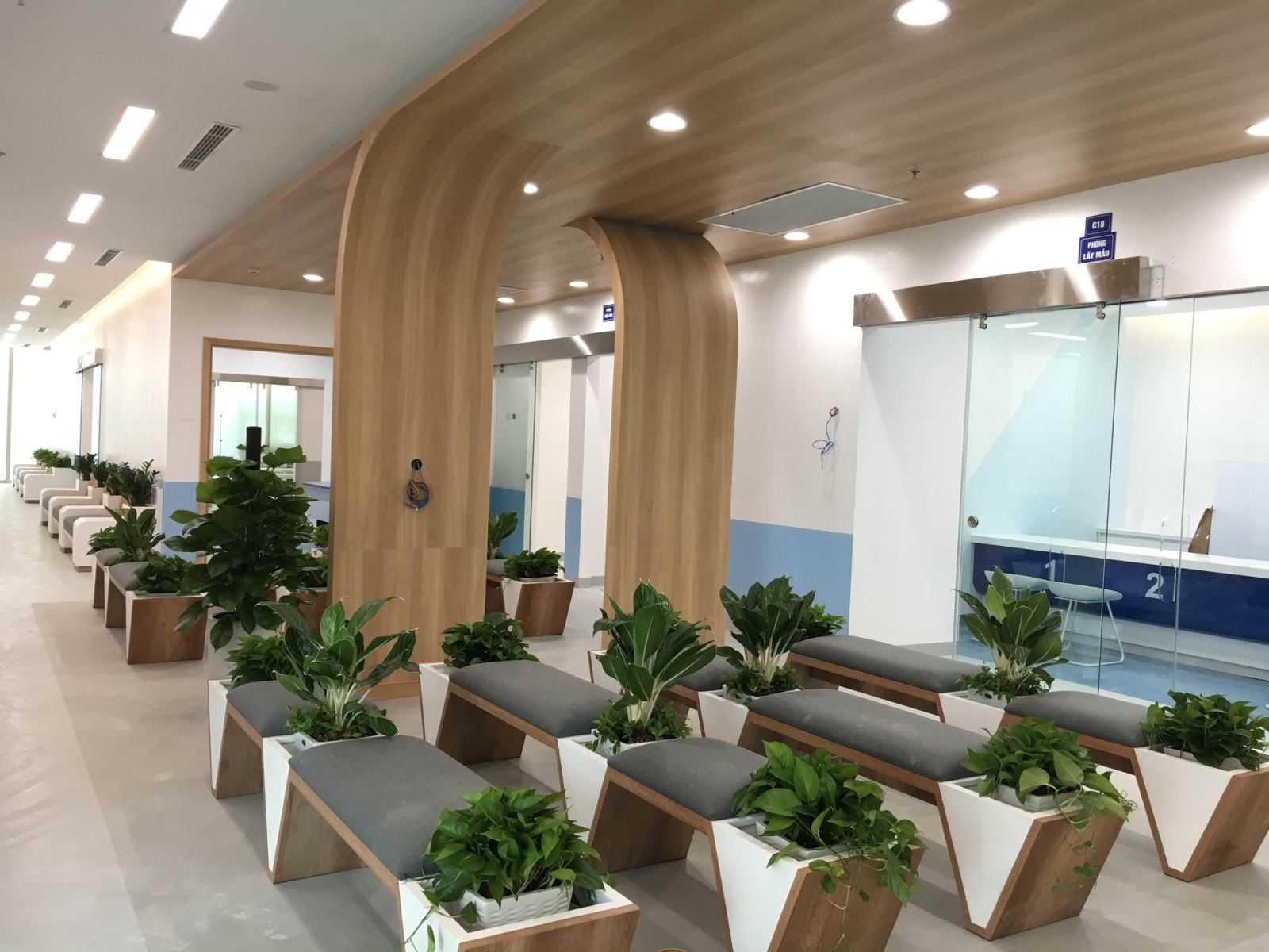 lỗi thường gặp khi dùng cây thuê văn phòng