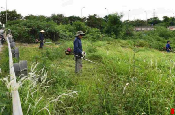 Vì sao nên lựa chọn dịch vụ phát cỏ hoang tại KCN Việt Hương của Vinaxanh?