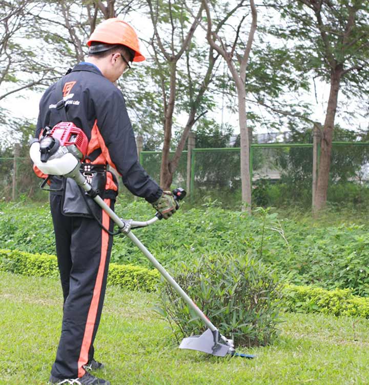Phát cỏ hoang tại KCN Bình Đường uy tín, giá rẻ