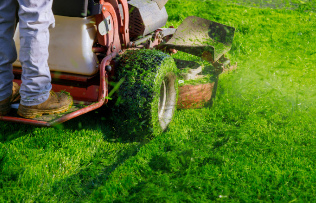 Tại sao nên sử dụng dịch vụ phát cỏ hoang tại KCN Thới Hòa
