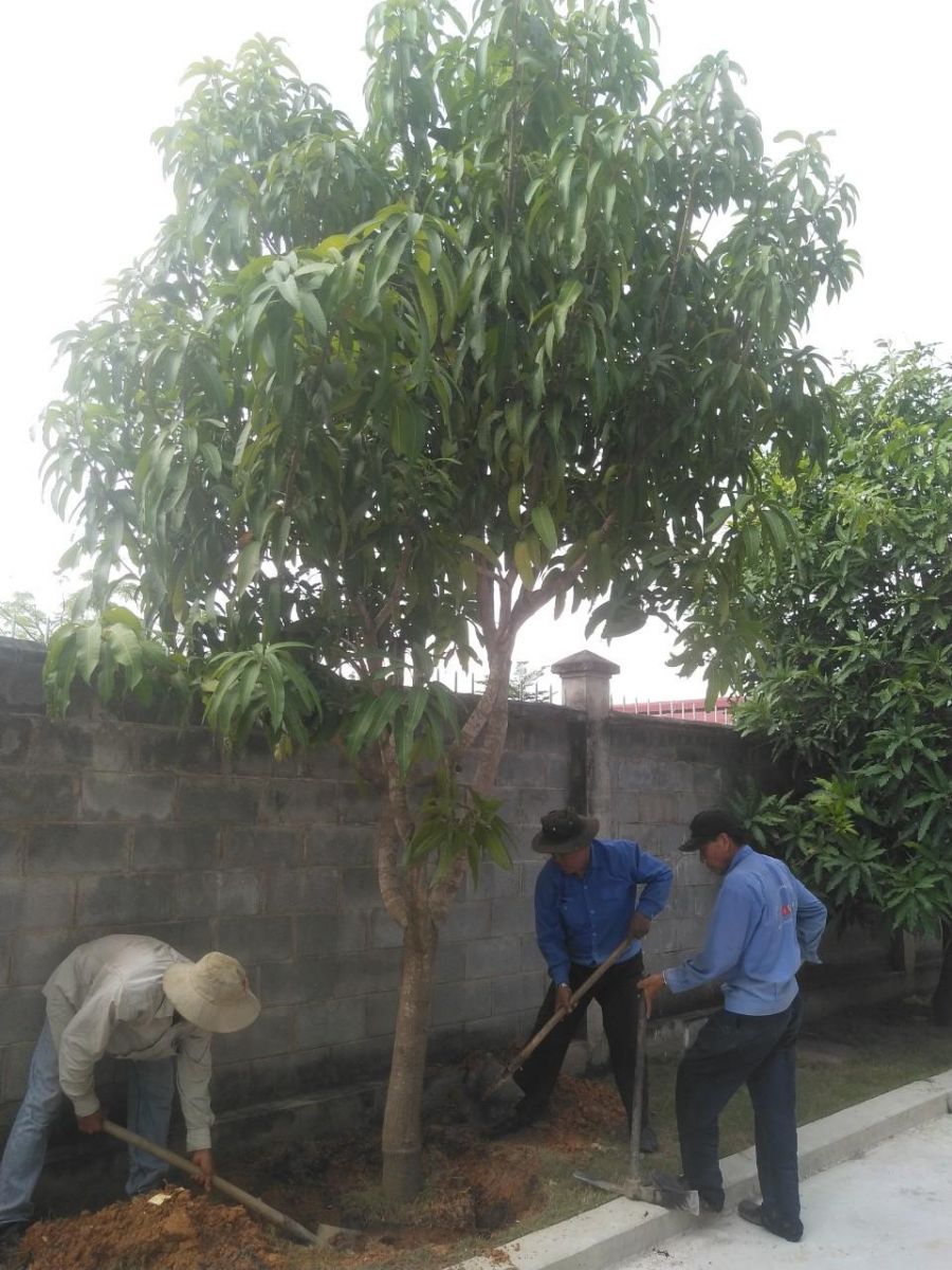 Vinaxanh đơn vị chuyên cung cấp dịch vụ uy tín chất lượng