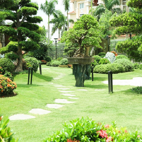 Thiết kế thi công sân vườn tại Gò Vấp TPHCM【 VINAXANH】