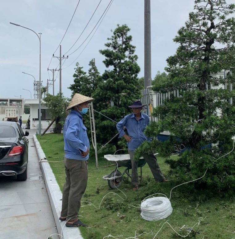 Dịch vụ chăm sóc cảnh quan tại Quận 4 giá rẻ từ Vinaxanh