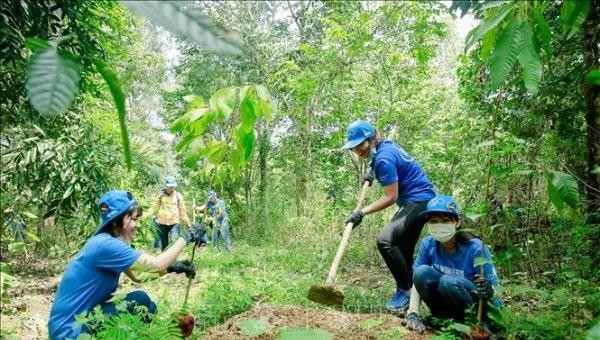 Trồng Cây Xanh Tại Củ Chi