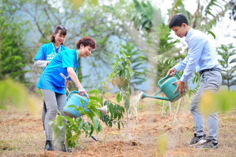 Trồng Cây Xanh Tại Củ Chi