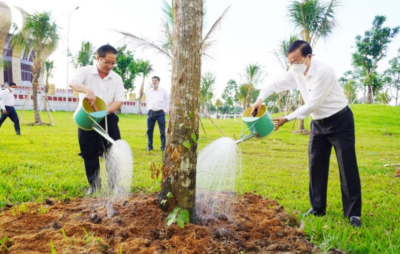 Trồng Cây Xanh Tại Hóc Môn