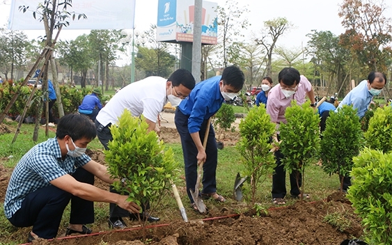 Trồng Cây Xanh Tại Hóc Môn 