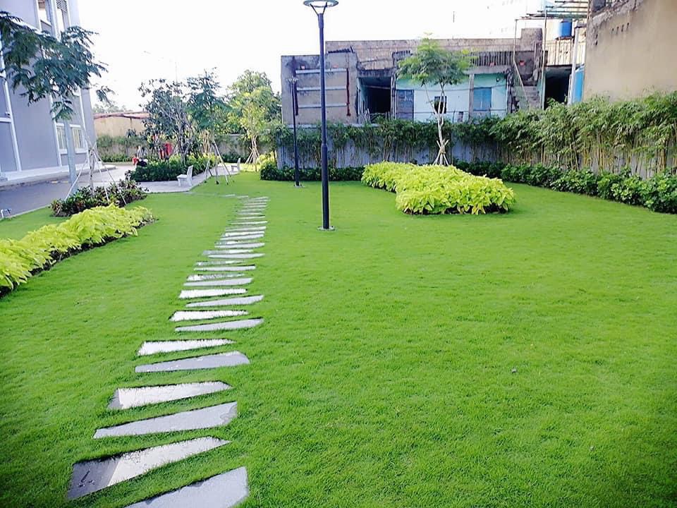 Dịch vụ trồng cỏ KCN VSIP Bình Dương